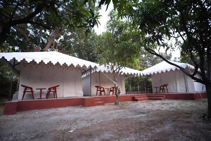 Mango Farm